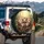 Sloth Flower Crown Tropical Forest - Wildlife Lover Gift Spare Tire Cover - 3