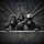 Gorilla Group Sunglasses Skull Cap - Wildlife Lover Gift Spare Tire Cover - 6