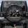 Gorilla Group Sunglasses Skull Cap - Wildlife Lover Gift Spare Tire Cover - 1