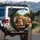 Orange Tabby Cats Convertible Road Trip - Travel Essentials Gift for Cat Lovers Spare Tire Cover - 3