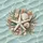 White Starfish Seashells Sand Ocean Water - Coastal Decor Gift Spare Tire Cover - 6