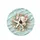 White Starfish Seashells Sand Ocean Water - Coastal Decor Gift Spare Tire Cover - 4