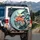 Gnarled Pine Maple Autumn Foliage Mountain Mist Asian Landscape - Road Trip Essentials Spare Tire Cover - 3