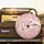 Cherry Blossom Flowers Falling Petals Foliage - Garden & Nature Lover Gift Spare Tire Cover - 2