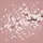 Cherry Blossom Flowers Falling Petals Foliage - Garden & Nature Lover Gift Spare Tire Cover - 6