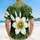 duiyfppz/products/6a100985a248877c7368819c/gallery/yAzS_aUqfN