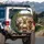 Dogs Luxury Car Interior Urban Landscape - Dog Lover Vehicle Gift Spare Tire Cover - 3
