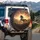 Dappled Grey Horse Leaping Wild Sunset Mountain Landscape - Horse Lover Gift Spare Tire Cover - 3