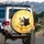 Fluffy Kitten Duo Yellow Environment - Home Decor Gift for Cat Lover Spare Tire Cover - 3