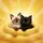 Fluffy Kitten Duo Yellow Environment - Home Decor Gift for Cat Lover Spare Tire Cover - 6