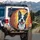 Close-up Pink Tongue Tilted Head Boston Terrier Dog Portrait - Dog Lover Everyday Use Gift Spare Tire Cover - 3