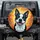 Close-up Pink Tongue Tilted Head Boston Terrier Dog Portrait - Dog Lover Everyday Use Gift Spare Tire Cover - 1