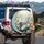 White Grey Cat Sleeping Daisy Meadow - Home Decor Gift for Cat Lover Spare Tire Cover - 3