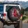 Northern Cardinal Gold Silver Stardust Snow - Wildlife Lover Gift Spare Tire Cover - 3