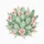 Prickly Pear Cactus Rose Desert Blooms - Home Decor Gift for Garden Lover Spare Tire Cover - 6