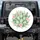 Prickly Pear Cactus Rose Desert Blooms - Home Decor Gift for Garden Lover Spare Tire Cover - 1