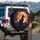 Black Cat Harvest Moon Orange Roses - Home Decor Gift for Cat Lover Spare Tire Cover - 3