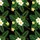 duiyfppz/products/6a1010ef9240ef5dd5d561dc/gallery/uLQ9hRnkGd