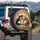 Three Sleeping Kittens Rustic Wood - Cat Lover Gift Spare Tire Cover - 3