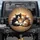 Three Sleeping Kittens Rustic Wood - Cat Lover Gift Spare Tire Cover - 1