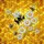 duiyfppz/products/6a1011219e3160256823003a/gallery/Rk4GrTtplN