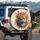 Multi-colored Cat Emerald Eyes Textured Fur Whiskers - Home Decor Gift for Cat Lover Spare Tire Cover - 3