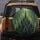 Evergreen Fir Pine Trees Woodland Forest Vista - Wildlife Lover Gift Spare Tire Cover - 5