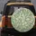 Botanical Leaves Fronds Abstract Shapes - Home Decor Gift Spare Tire Cover - 5