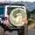 Lounging Stylized Cats - Home Decor Gift for Cat Lovers Spare Tire Cover - 3