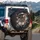 Atlas Moth Rose Gold Moon Phases Vintage Roses - Wildlife Lover Gift Spare Tire Cover - 3