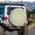 Daisy Flower Cluster Floral Silhouettes - Home Decor Gift Spare Tire Cover - 3