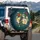 Black Spotted Bird Antique Roses Wildflowers - Wildlife Lover Home Decor Gift Spare Tire Cover - 3