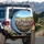 Eight Weimaraner Dogs Pack Vehicle Interior Landscape - Dog Lover Gift Spare Tire Cover - 3