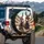 Donkeys Red Sunglasses Steering Wheel Lounge Cityscape - Road Trip Accessory for Animal Lover Spare Tire Cover - 3