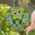 duiyfppz/products/6a1016b6691d0e854cdb23e6/gallery/UPCRlhX-ot