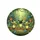 Waving Tropical Green Frogs Blue Butterflies Jungle Foliage - Wildlife Lover Gift Spare Tire Cover - 4