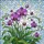 duiyfppz/products/6a10173b691d0ed5b4db25ca/gallery/KaY8ZNXptn