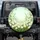 White Daisies Blooms Meadow Green Leaves - Home Decor Gift for Garden Lover Spare Tire Cover - 1
