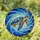 duiyfppz/products/6a1018280d55d636a384de06/gallery/VIxLqiBki7