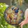 duiyfppz/products/6a10184da2488744e968c05c/gallery/upIaR5a462