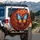 Blue Orange Butterfly Blossoms Green Foliage Gold Specks - Outdoor Wildlife Gift Spare Tire Cover - 3