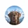 Friendly Chocolate Labrador Portrait Majestic Mountain Vista - Dog Lover Gift Spare Tire Cover - 4
