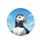 Atlantic Puffin Blue Sky Coastal Clouds - Wildlife Lover Gift for Bird Lovers Spare Tire Cover - 4