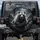 Grizzly Bear Forest Mist Tree Branch Twilight - Wildlife Lover Gift for Bear Enthusiast Spare Tire Cover - 1