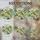 duiyfppz/products/6a101c93a248875f8068ce57/gallery/WvtZPLb2yY