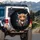Highland Cow Scottish Flag Thistle - Farmhouse Home Decor Gift for Cow Lover Spare Tire Cover - 3