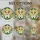 duiyfppz/products/6a101d4ba24887a73168d079/gallery/7qJFHYdNw2
