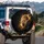 Regal Lion Head with Ornate Golden Crown - King of Beasts Wildlife Enthusiast Gift Spare Tire Cover - 3