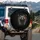 Raccoon Rock Horns Sunglasses - Automotive Wildlife Enthusiast Gift Spare Tire Cover - 3