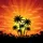 duiyfppz/products/6a10223f202e1945f85c35d6/gallery/FQNCb2oNdH